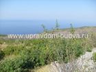 Объект 21210. Продается земельный участок 90 соток в Крымовице. Панорамный вид на море!